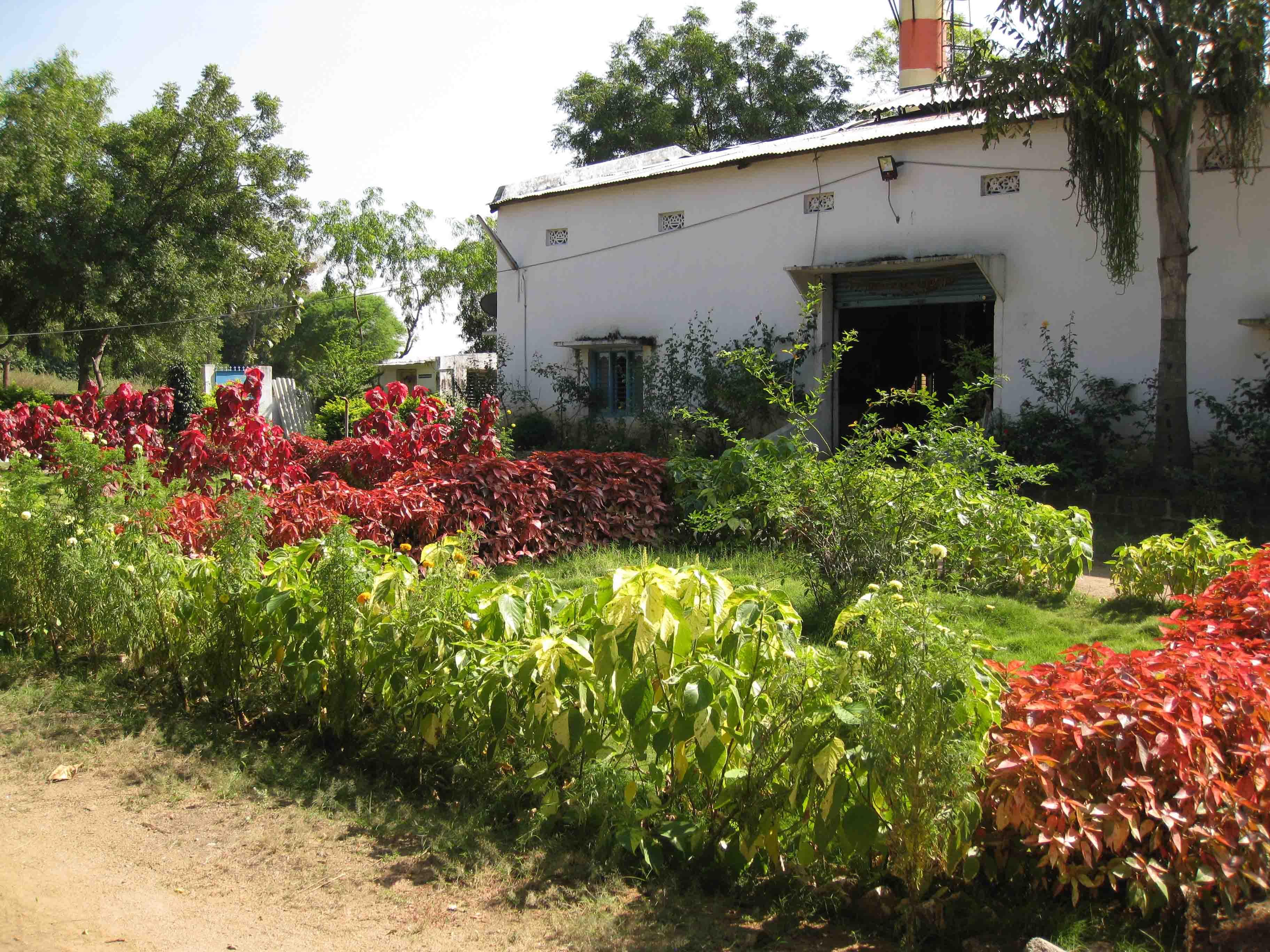 Environmental Management & Green Initiatives