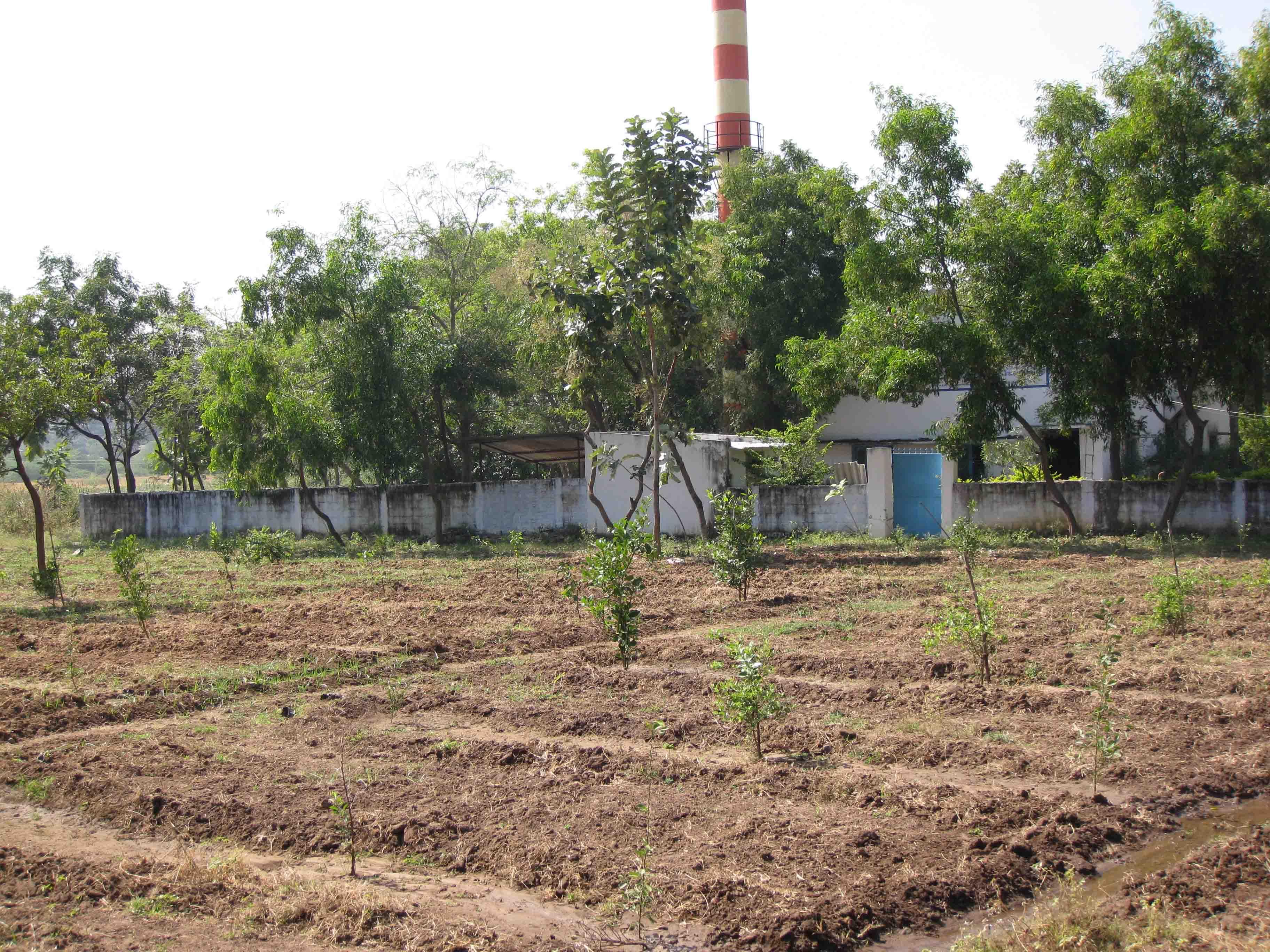 Environmental Management & Green Initiatives