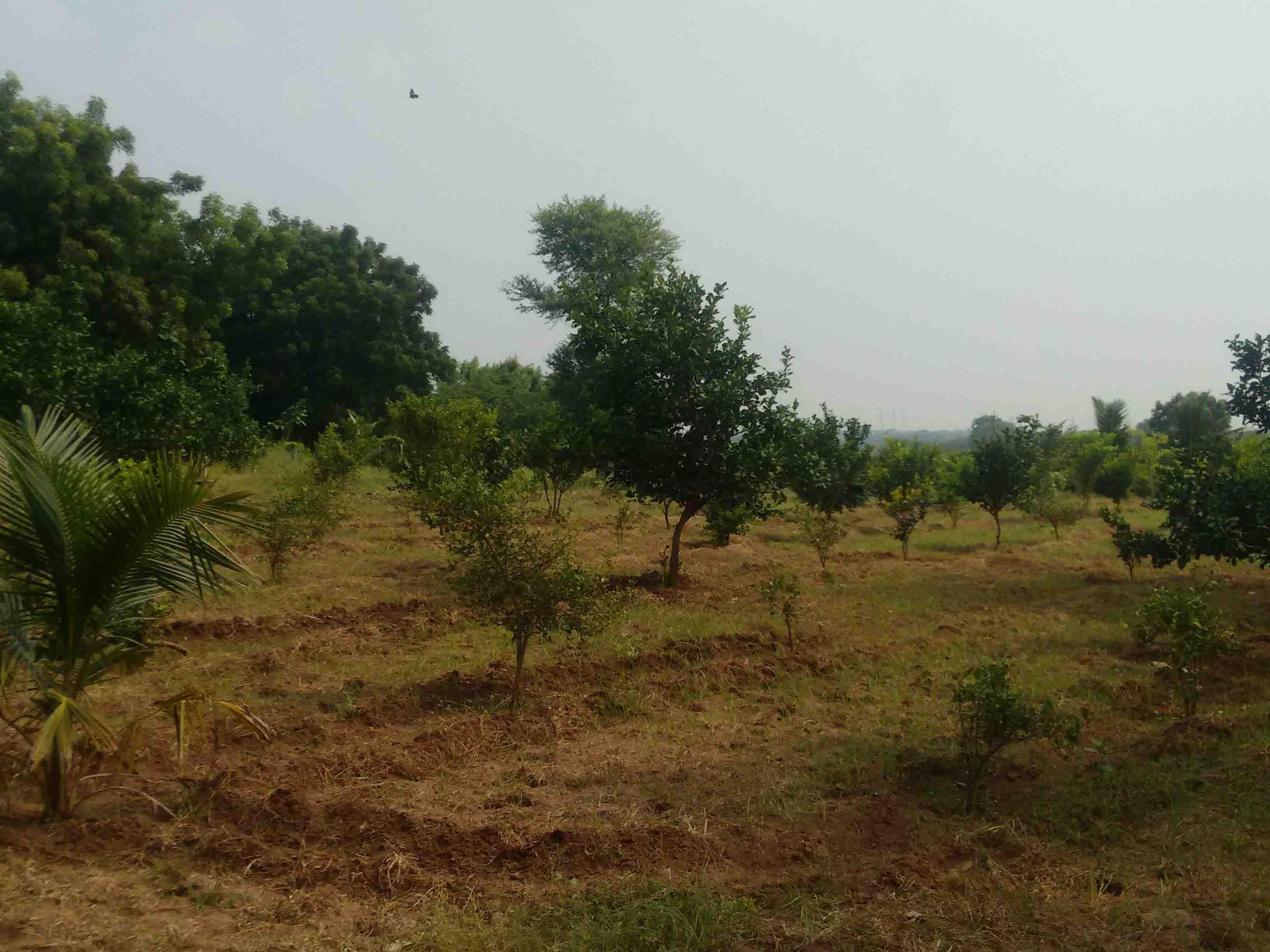 Environmental Protection & Green Initiatives