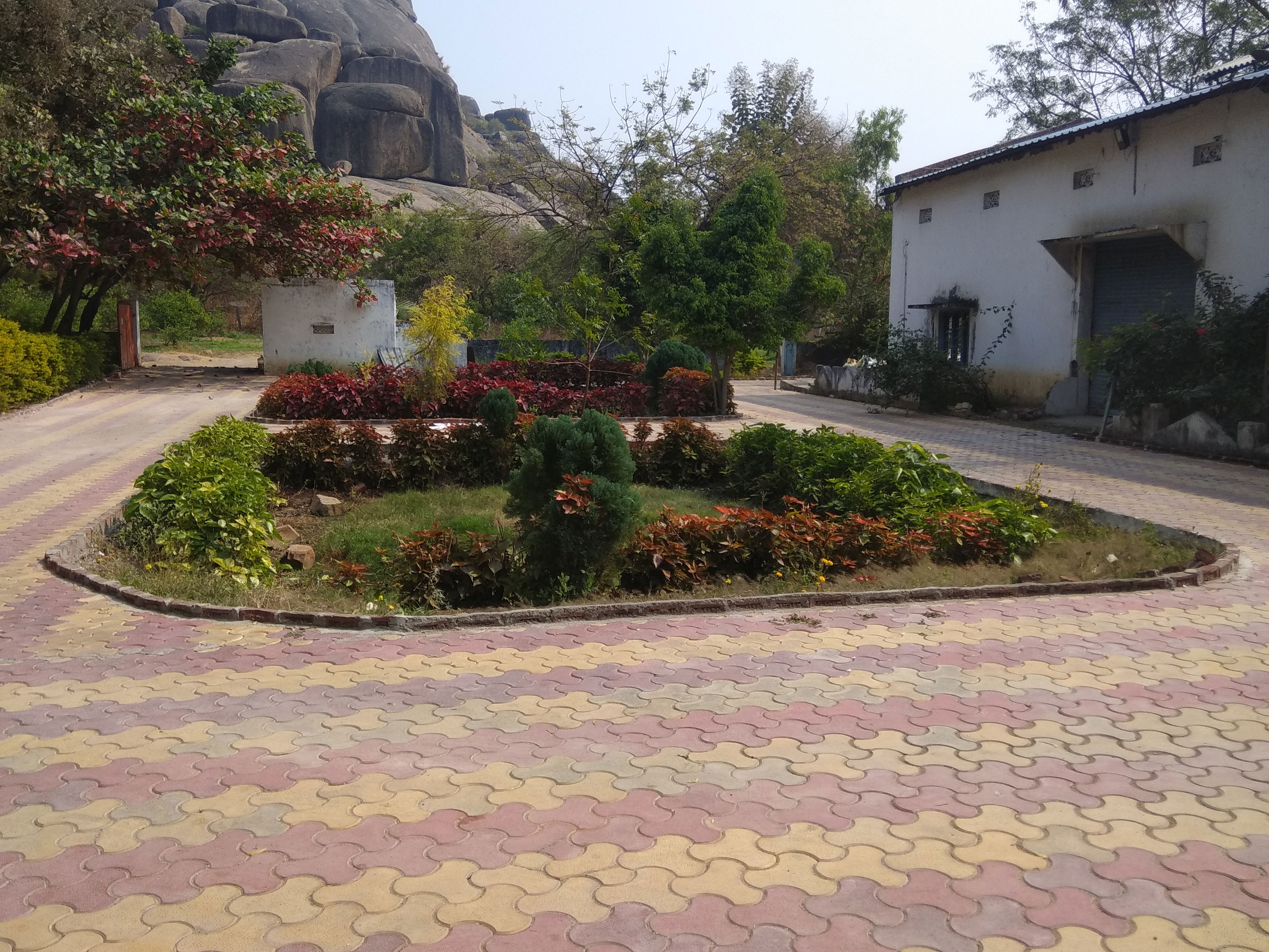 Environmental Management & Green Initiatives